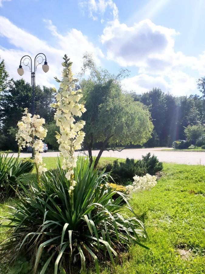 Willa Park Ostrowiec Świętokrzyski 외부 사진