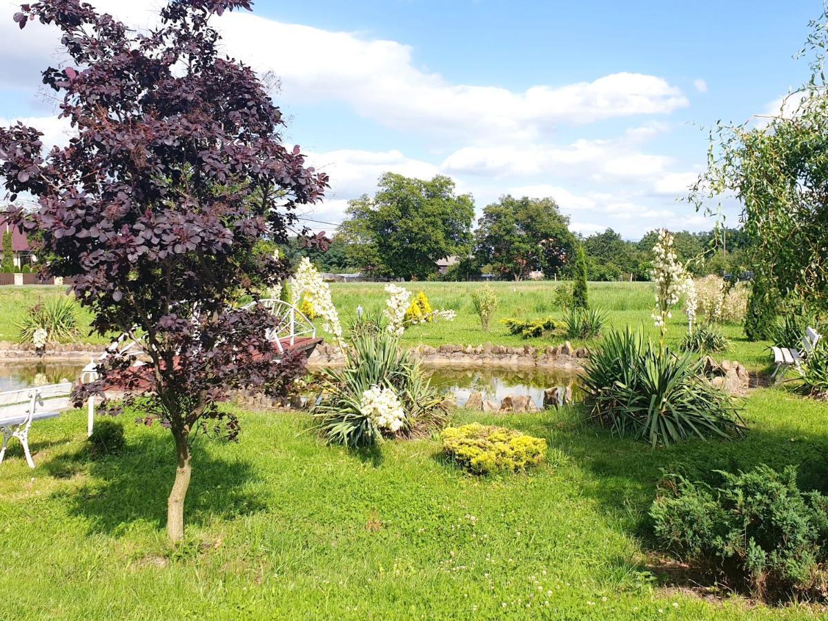 Willa Park Ostrowiec Świętokrzyski 외부 사진