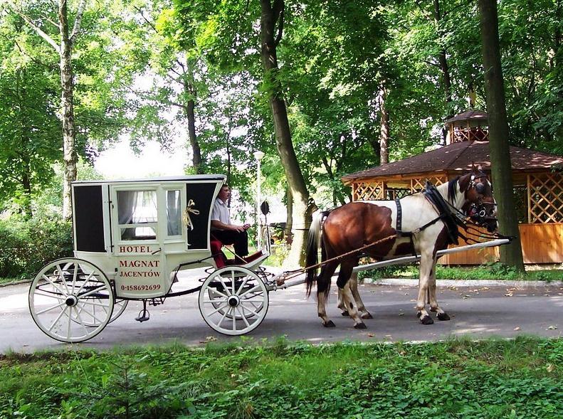 Willa Park Ostrowiec Świętokrzyski 외부 사진